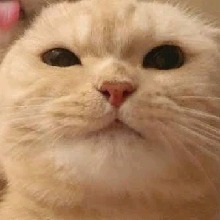 ZyxkO