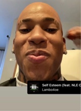 Guest_Jordan2447