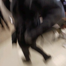 Guest_YUHDATME