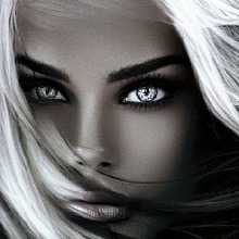 Guest_ShellyDraven
