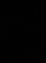 Guest_Doubler11