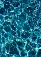 Guest_allyaa1