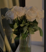 Guest_Ilana398532