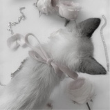 Guest_Vanesaxq