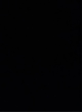 Guest_lightclown