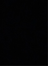 Tavion65222