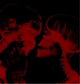 Guest_Zombsujin