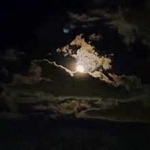 Guest_Shadowjaden1