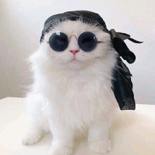 Guest_SsMOONsS