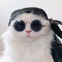 Guest_SsMOONsS