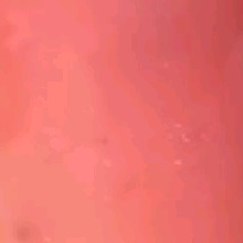 Guest_MarinaAlmeida3