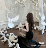 Guest_Daphne125751