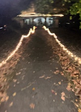 Guest_Paige250845