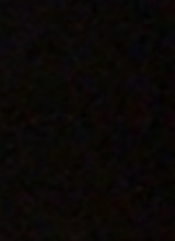 Guest_AmyGarcia12