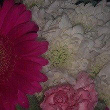 Guest_SHAYY430751
