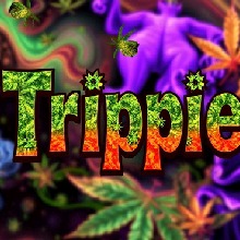 Guest_TrippieHaze