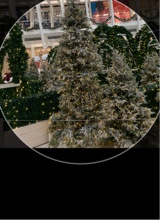 Guest_saira111