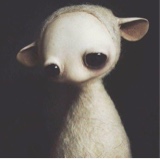 Guest_Baby002