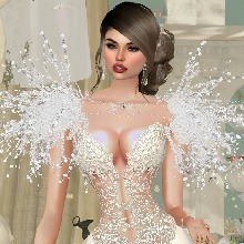Guest_Ivy789681