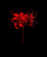 Guest_xLaPelinegra