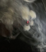 Guest_jayden2580