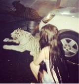 Guest_AlissonGarcia3