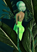 IBlossomI