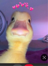 Guest_larrraaaa3333