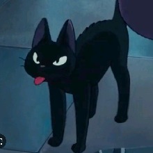 Guest_Cat03