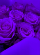 Guest_JoleneHaas1