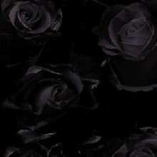Guest_L733536
