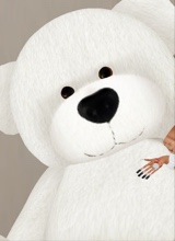 Teddybear997836