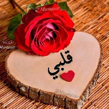 Guest_YAHIA20