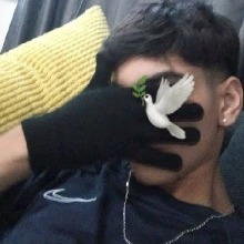 Guest_SrJaPiiN