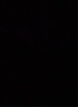 صورة الـavatar