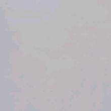 Guest_1PUTINH4