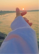 Guest_zou9