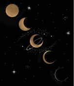 Guest_MoonshineQuinn