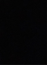 Guest_SavannahHansen1