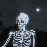 Guest_paperchasing2