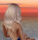 Guest_Sarah1422