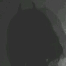 Guest_Paloma297