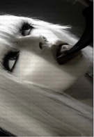 Guest_fluffyghostwhitef10b