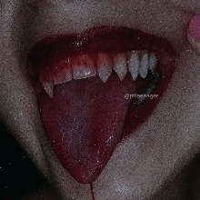 Guest_SlmEz