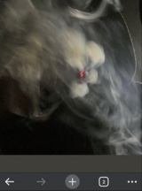 4kbarbieteetee