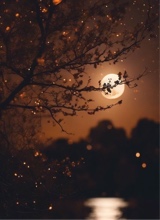 Guest_Peaches976785