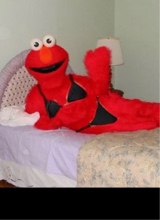 Guest_Antiks