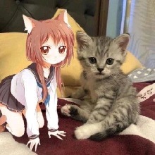 Guest_meeeeoooow