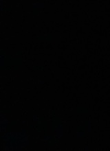 Guest_Jane962590