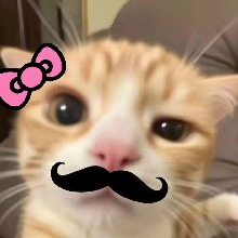 صورة الـavatar